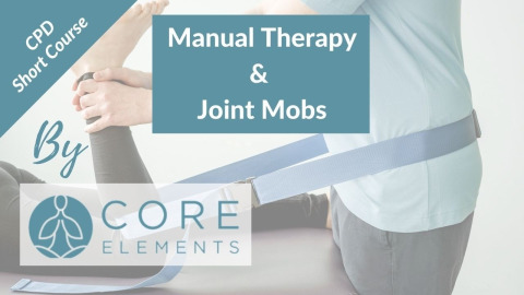 manual therapy image